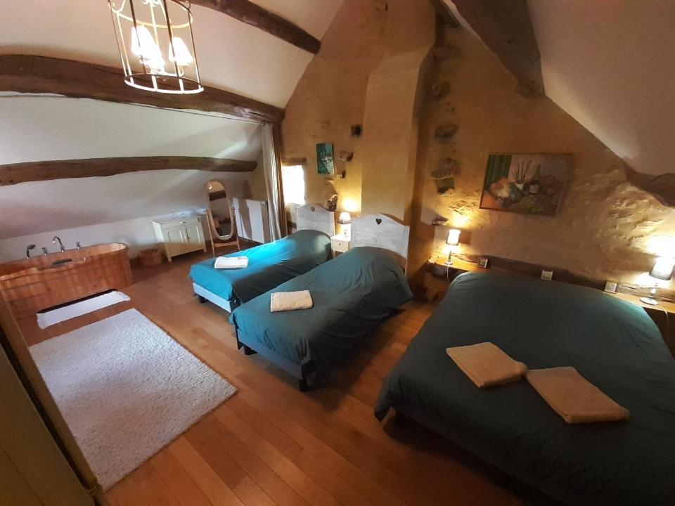 Maison De Blanche Chaudenay-le-Chateau Luaran gambar
